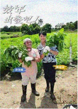城市夜行者 纪实真人秀